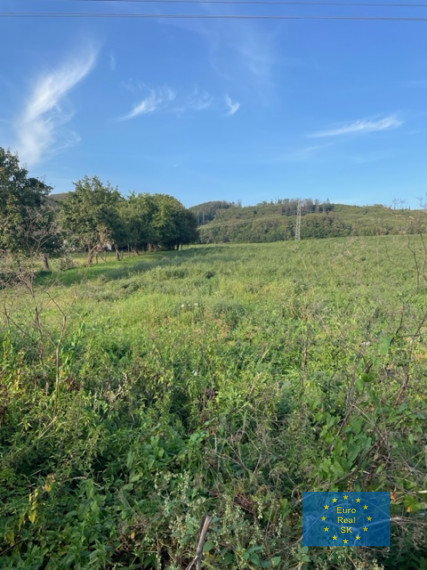 Ruskov ( Košice okolie ) predaj pozemku , trvalý trávny porast, 900 m2 , osobné vlastníctvo