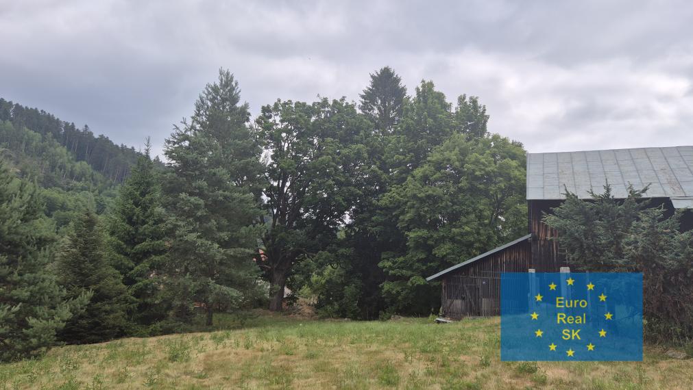 Predaj rodinného domu v obci Smolník, pozemok 5.929 m2, garáž, vhodný na rekreačné účely