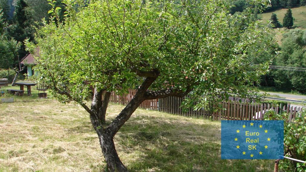 Predaj rodinného domu v obci Smolník, pozemok 660 m2, garáž, záhrada, osobné vlastníctvo, vhodný na rekreačné účely