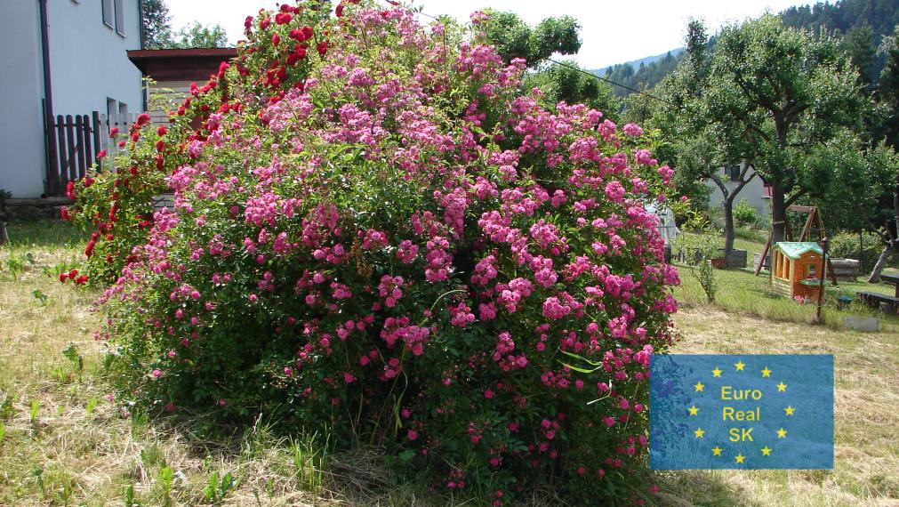 Predaj rodinného domu v obci Smolník, pozemok 660 m2, garáž, záhrada, osobné vlastníctvo, vhodný na rekreačné účely
