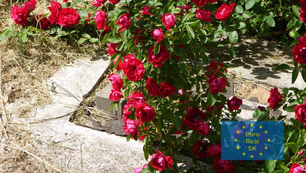 Predaj rodinného domu v obci Smolník, pozemok 660 m2, garáž, záhrada, osobné vlastníctvo, vhodný na rekreačné účely