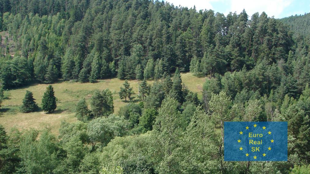 Predaj rodinného domu v obci Smolník, pozemok 660 m2, garáž, záhrada, osobné vlastníctvo, vhodný na rekreačné účely