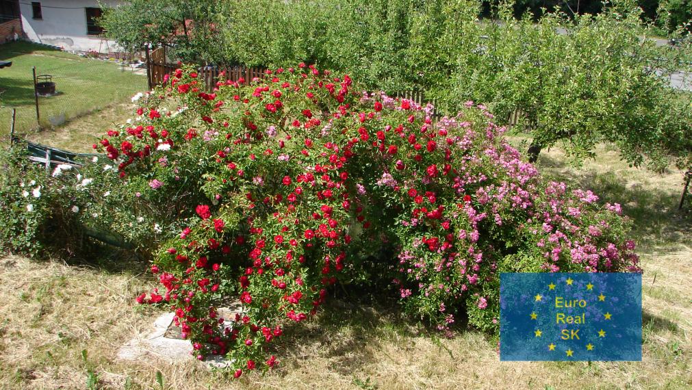 Predaj rodinného domu v obci Smolník, pozemok 660 m2, garáž, záhrada, osobné vlastníctvo, vhodný na rekreačné účely