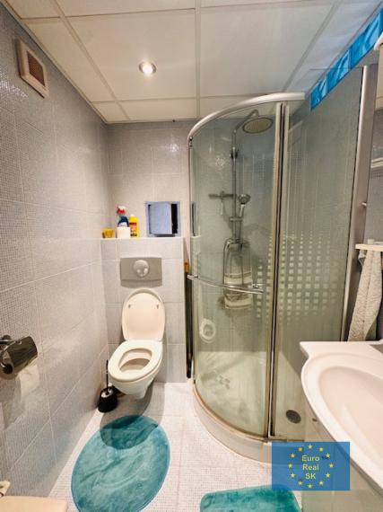 Prenájom 1 izb bytu v KE - Jesenná ul., rekonštruovaný, zariadený.