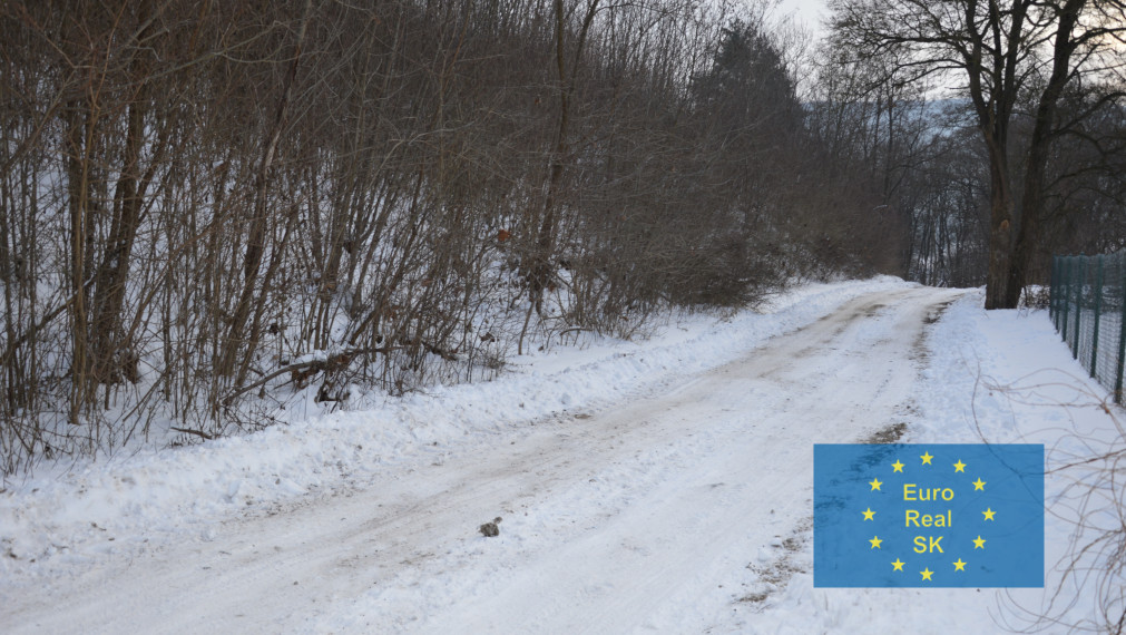 Predaj rekreačného zariadenia  v  lokalite obce Kysak ( Košice -  okolie ) , elektrika, vodovod, osobné vlastníctvo