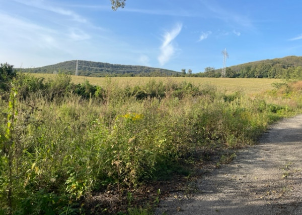 Predaj pozemku v obci Ruskov, 7.000 m2, osobné vlastníctvo, vhodné na fotovoltaiku