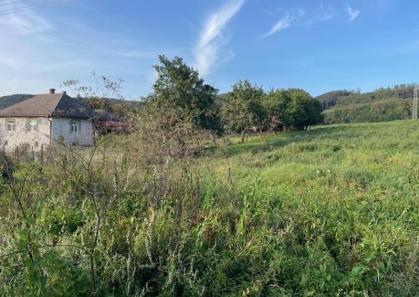 Ruskov ( Košice okolie ) predaj pozemku , trvalý trávny porast, 900 m2 , osobné vlastníctvo