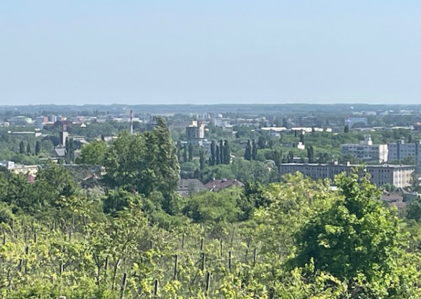 Predáme v Bratislave-Nové Mesto, k.ú. Vinohrady ( Koziarka ) stavebný pozemok o výmere 1.694 m2 ( 20x84,7m).