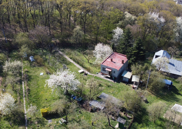 Predaj rekreačnej chaty s veľkou záhradou, Vyšné Opátske - Včelia paseka, zachovalý pôvodný stav,